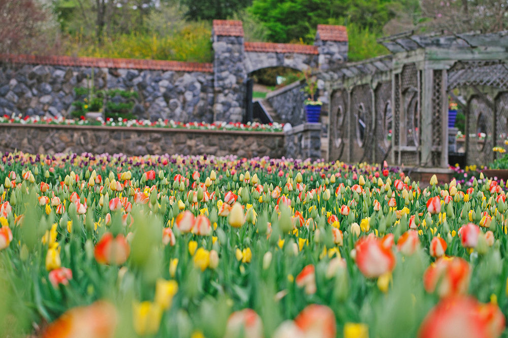 Village Hotel On Biltmore Estate แอชวิลล์ ภายนอก รูปภาพ