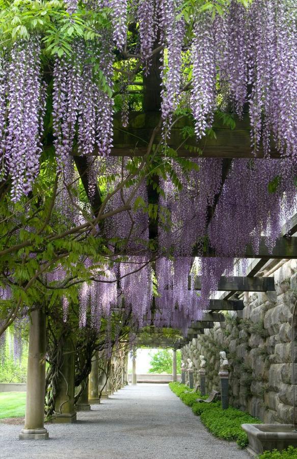 Village Hotel On Biltmore Estate แอชวิลล์ ภายนอก รูปภาพ