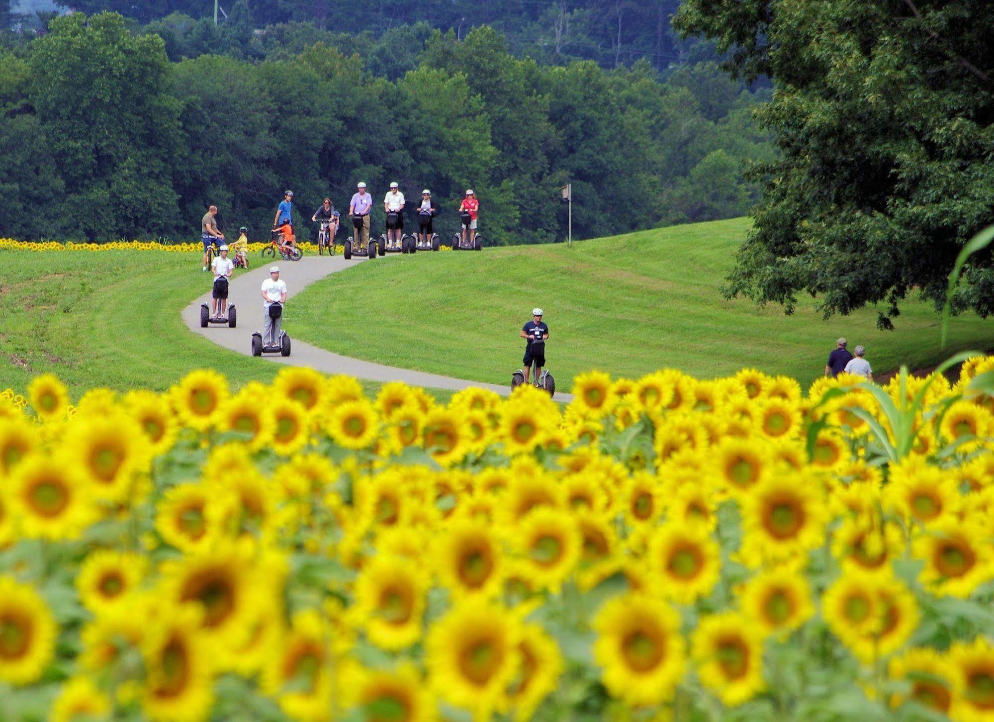 Village Hotel On Biltmore Estate แอชวิลล์ ภายนอก รูปภาพ